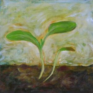 Small-Scale Seed Starting Image